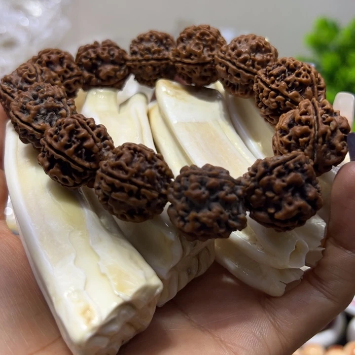 核桃手串/手链冰箱臼齿