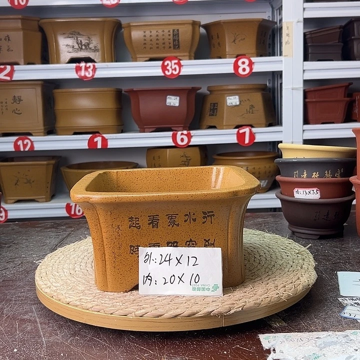 紫砂花盆蛇年大吉