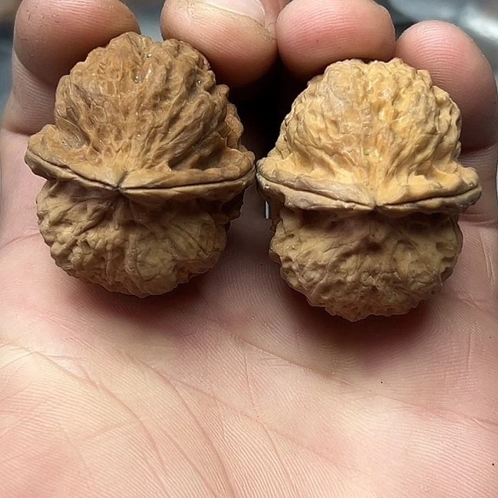 文玩核桃把件97号愤怒小鸟38尺