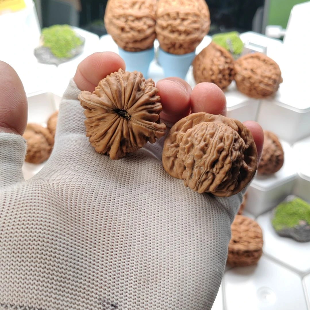 文玩核桃把件14号全品四座楼40尺