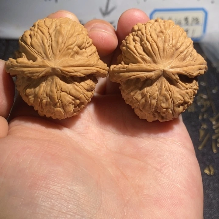 核桃手串/手链小*40全品白狮子