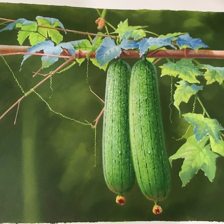 油画50*60手绘油画