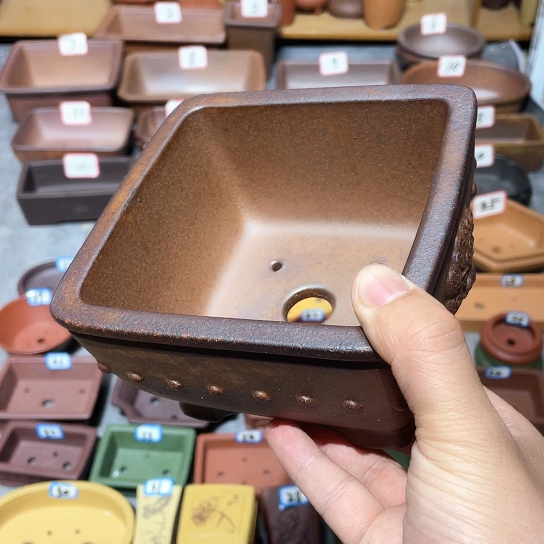 @*涵紫砂小盆11.5*6.5