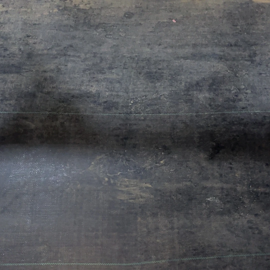 墨***星小姐姐的多肉植物群生多充值