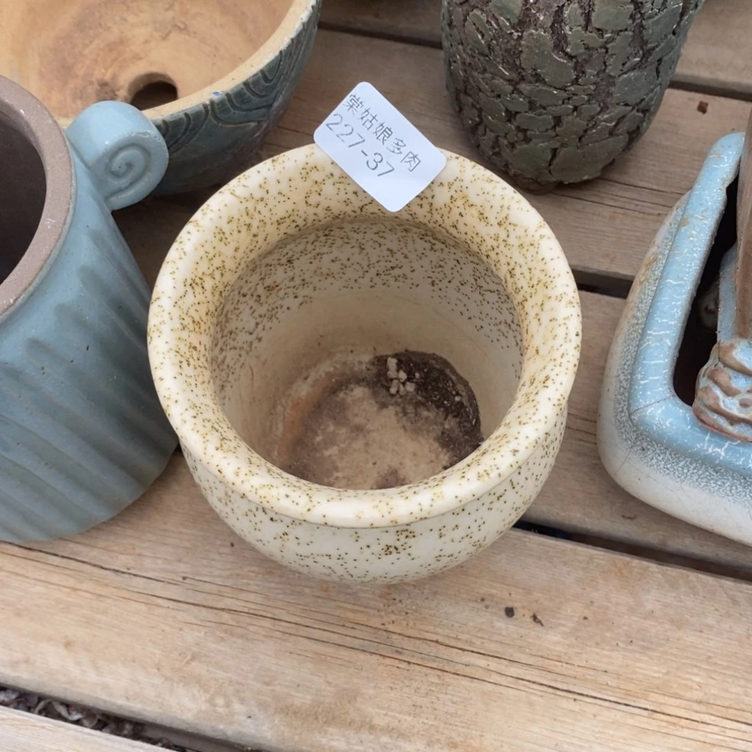 红陶J**津37号多肉花盆一个