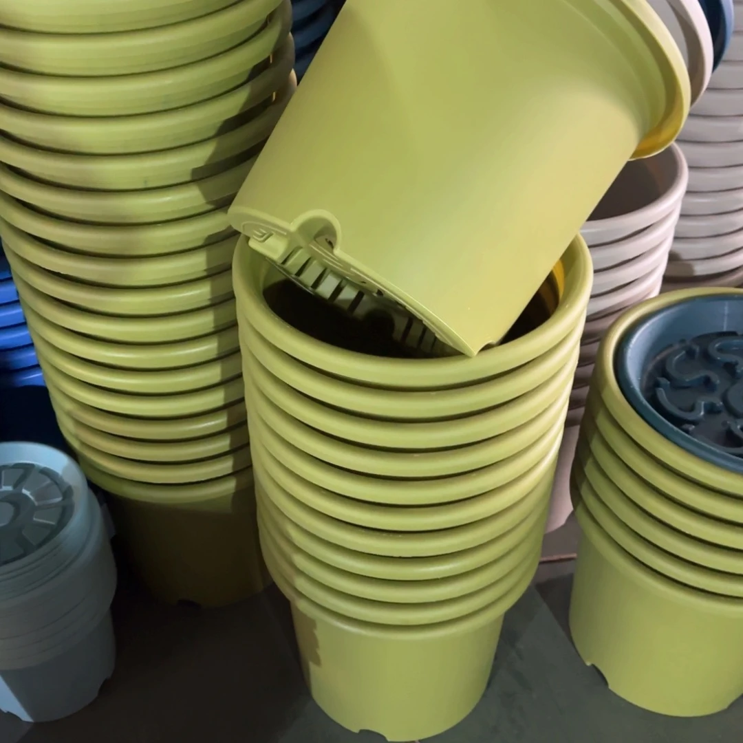 树脂特价6#无拖果绿7个