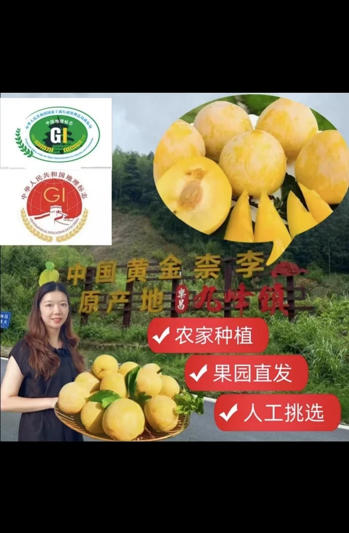 乐昌九峰黄金柰李脆甜多汁新鲜现摘粤北水果王送礼产地直发