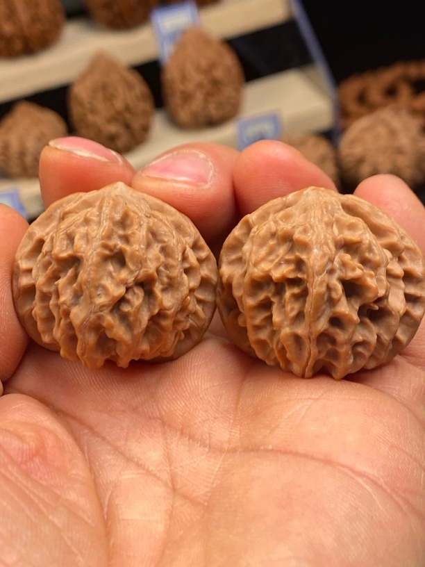 秦岭名核精品核桃：野生元宝