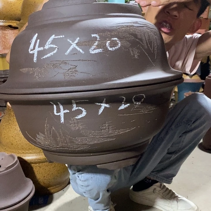 紫砂紫砂紫砂紫砂