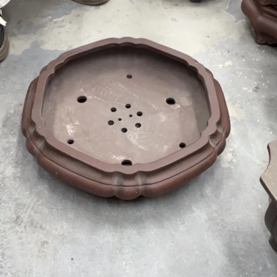 跳***过紫砂花盆中放一把子