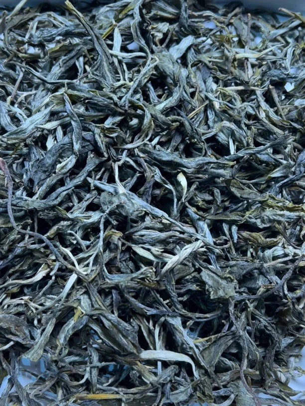 忙卖古树纯料普洱茶生茶 200克