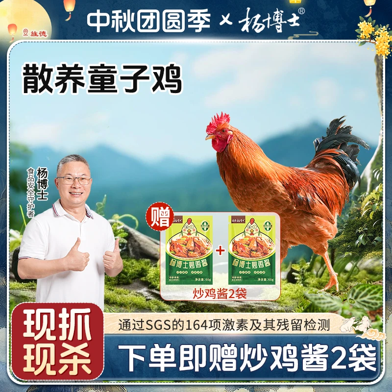 孩子爱吃杨博士童子鸡皖南放养土鸡新鲜土鸡吃鲜 包冰率不含冰