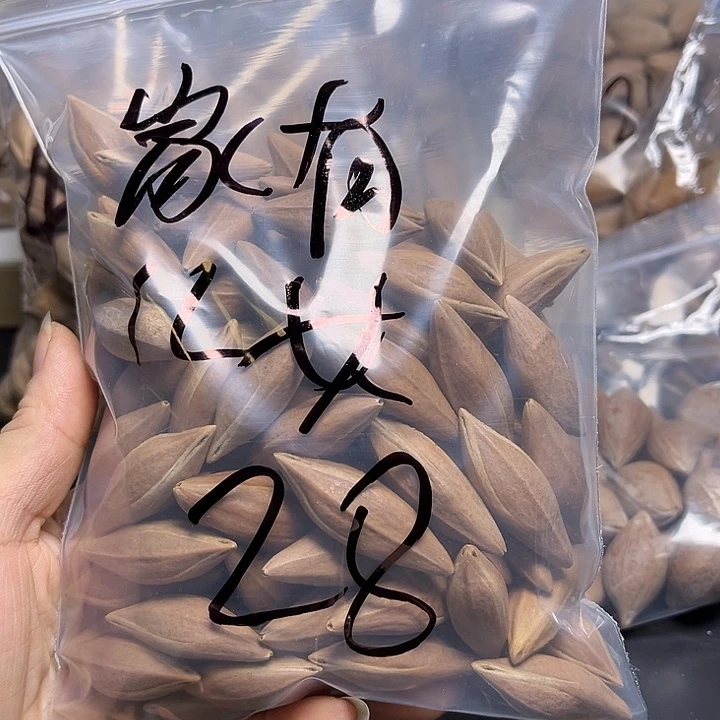 家***女手串/手链橄榄核1111