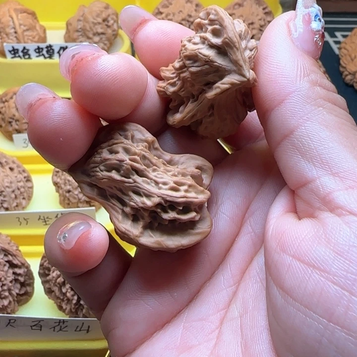 ?****?问问核桃三郎小鸟三棱小鸟