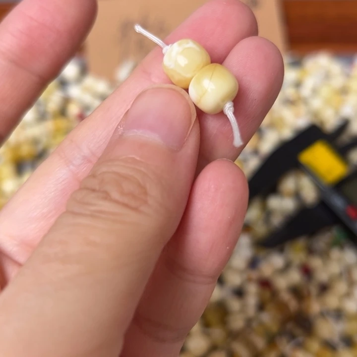 蜜蜡未镶嵌裸石8.6mm一对