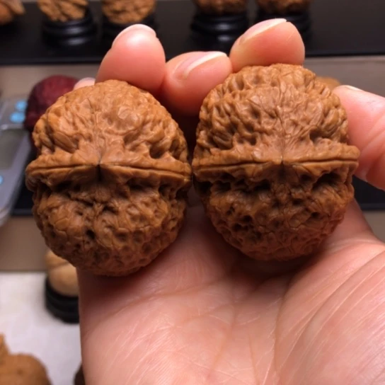 文玩核桃把件刘*言霸王龙6