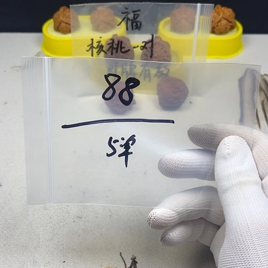 吊坠文玩核桃核桃等经济作物的栽培技术研究和