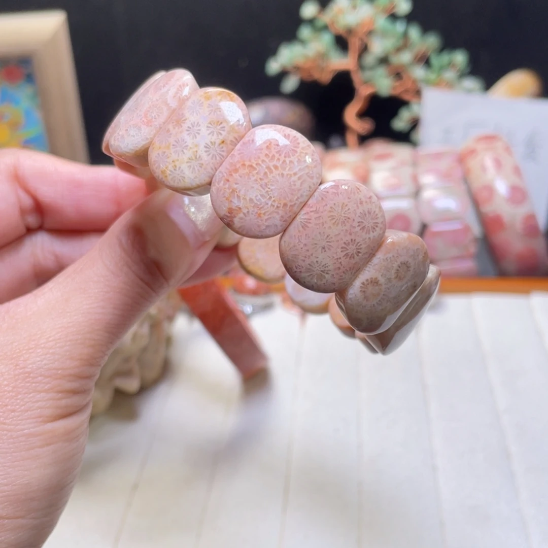 硅化玉未镶嵌手镯