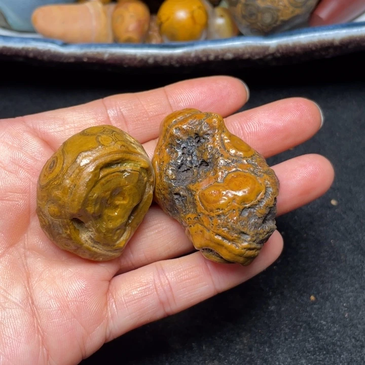 石材九眼页岩钱币石原石115