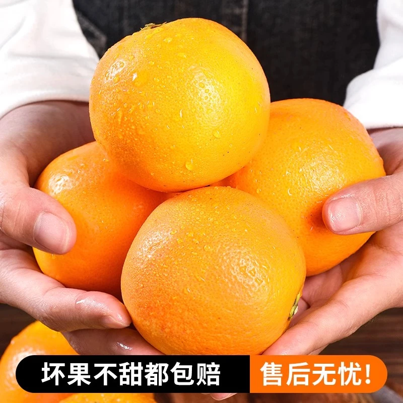 顺丰包邮湖南麻阳冰糖橙橙子新鲜新鲜甜橙当季水果孕妇手剥脐薄皮