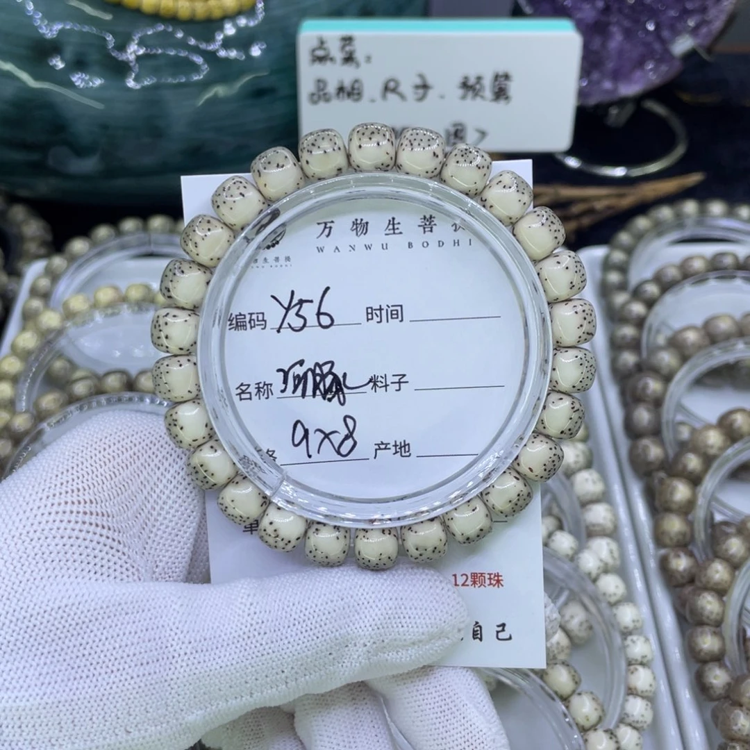 吊坠星月菩提都***了Y河豚