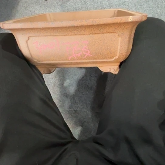 紫砂花盆学*紫砂花盆