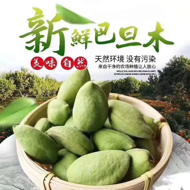 新鲜巴旦木鲜果带壳原味青皮鲜果现摘无添加生态果实巴旦木新鲜