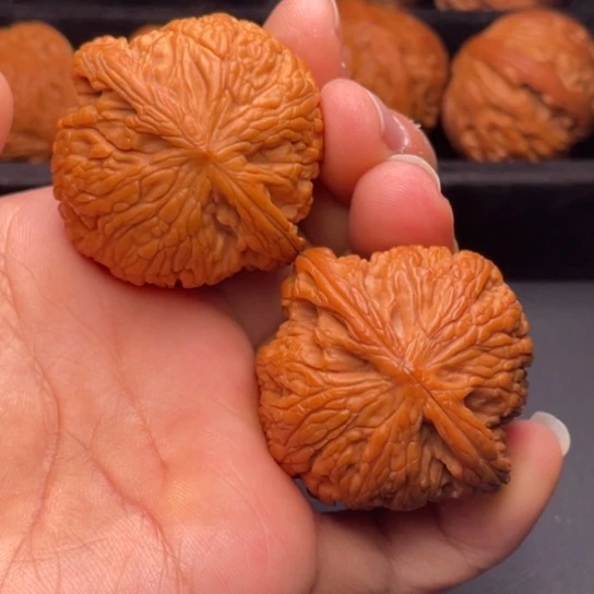 文玩核桃把件秦岭山脉核桃