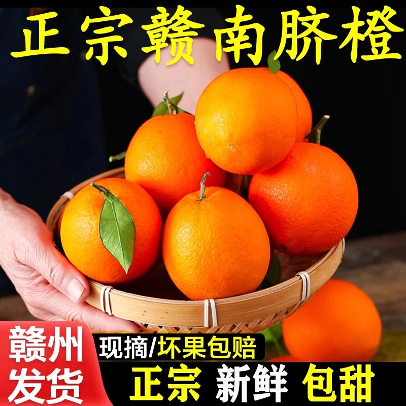 正宗江西赣南脐橙新鲜现摘鲜甜多汁赣州橙子产地直发包邮