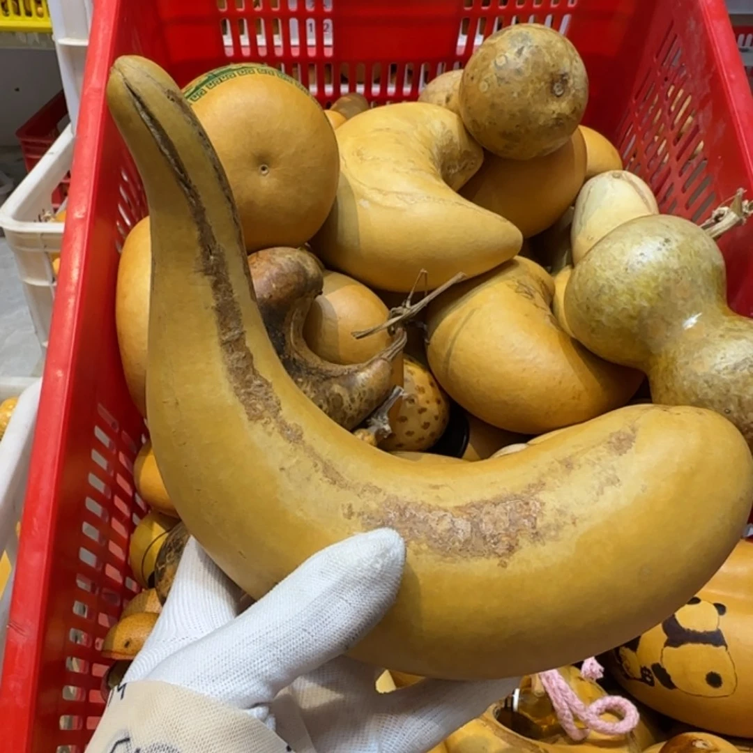 楚***，哈哈哈哈哈哈哈哈哈哈哈