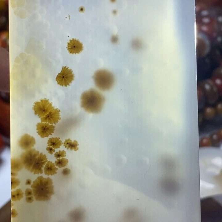 玛瑙/玉髓颈饰未镶嵌实*