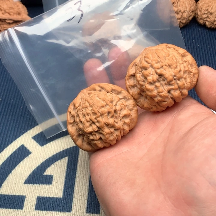 文玩核桃吊坠50龙鼎23