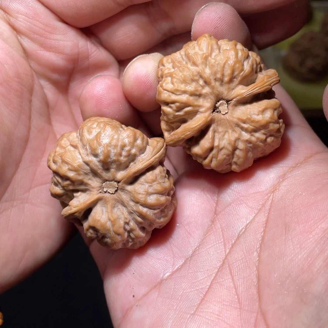 把件文玩核桃38+延庆蛤蟆头