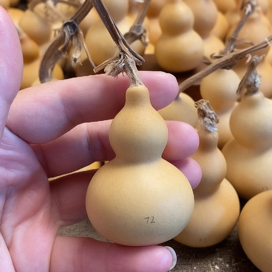 文玩葫芦 完美主义者 慎拍72