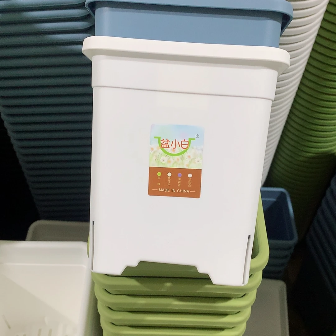 方口16白5个带托