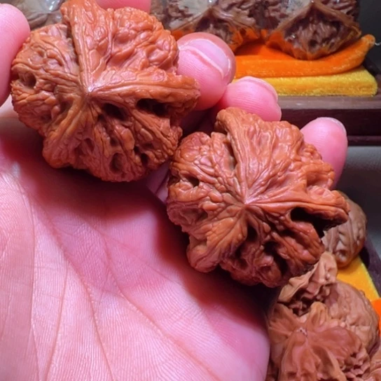 龙王大奔孤品大将军