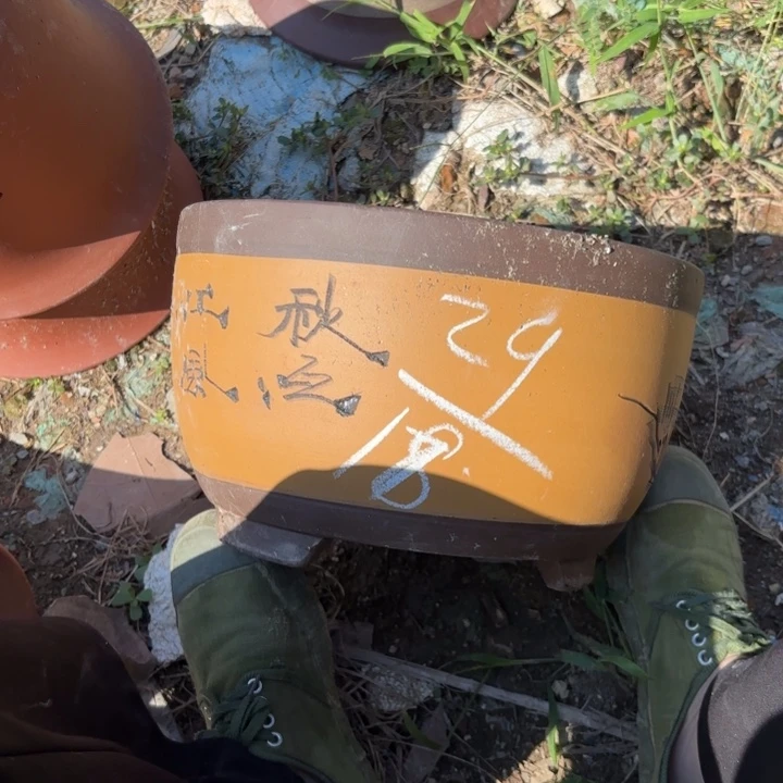 紫砂花盆紫砂的花