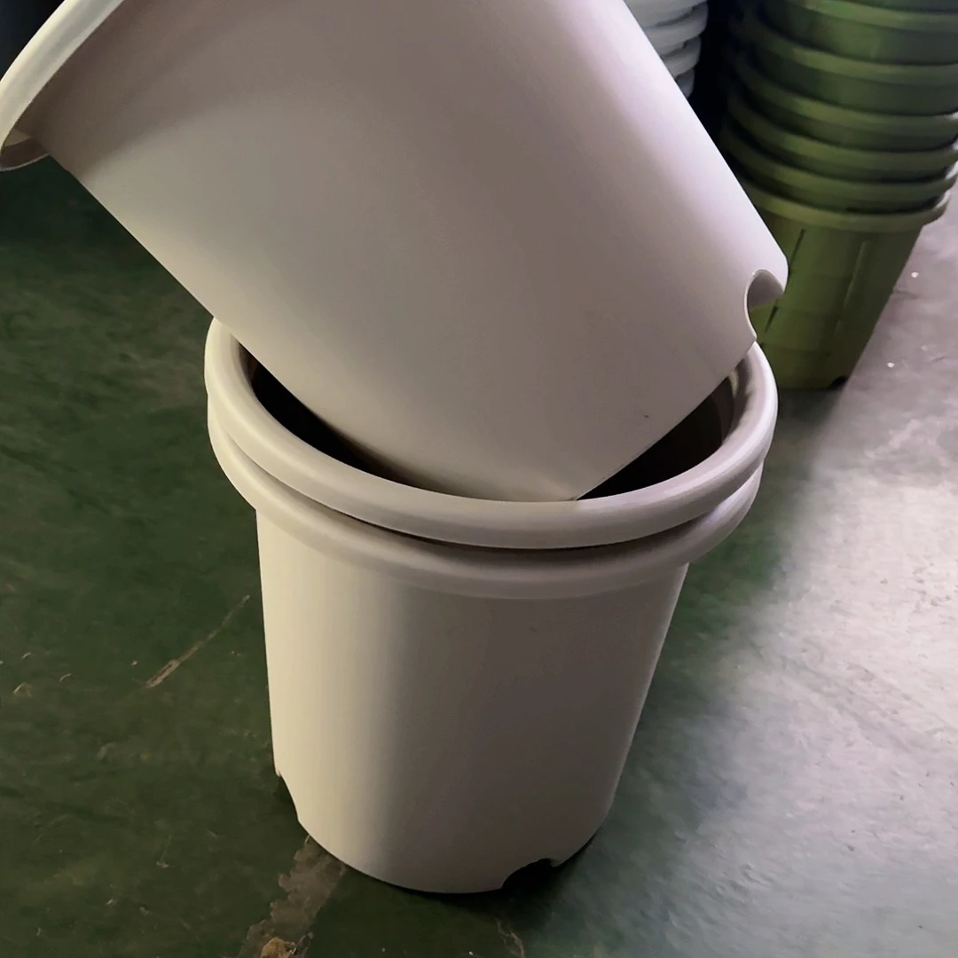 树脂编号。     1961