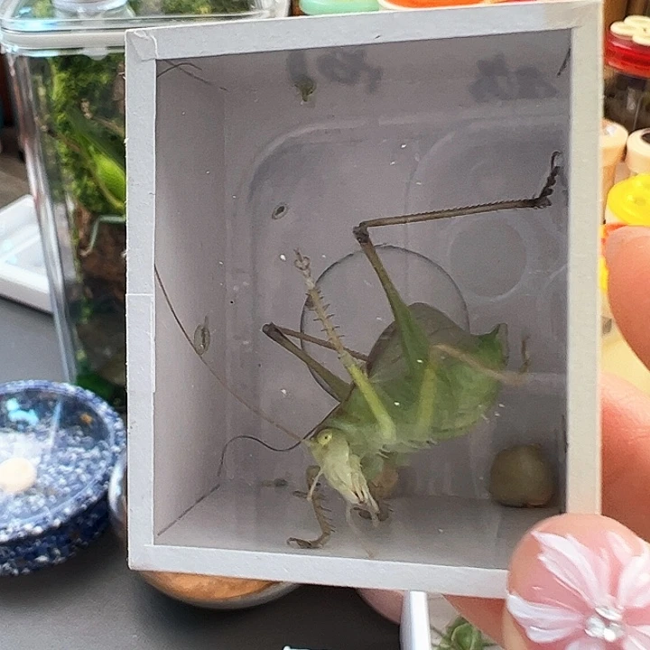 第***烟哈哈哈哈哈扎嘴一个