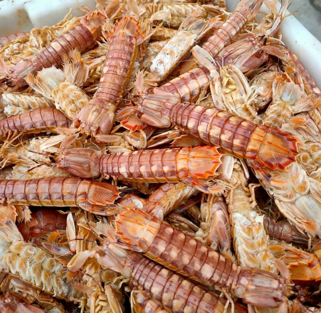 皮皮虾大小混装5斤