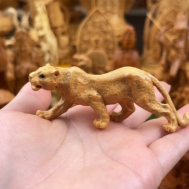 柏木（崖柏）一路发