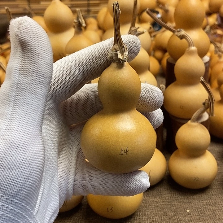 文玩葫芦 完美主义者 慎拍54