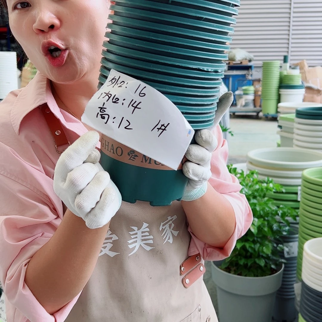 瑕疵矮胖1#墨绿色20个无托
