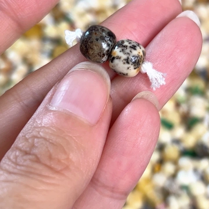 未镶嵌蜜蜡裸石8.5mm一对