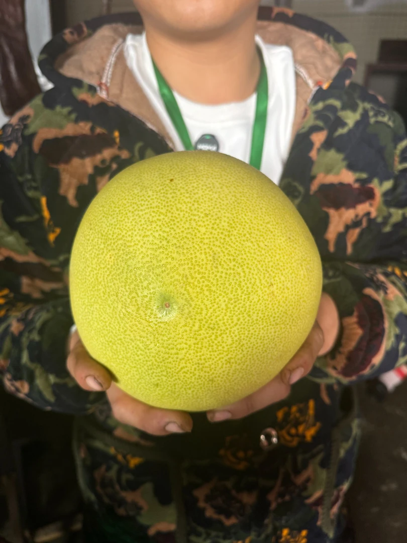 四川柚柚子新鲜应季农家自种酸甜多汁