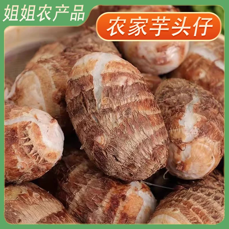 新鲜芋头仔农家香芋粉糯奶香甜味嫩滑新鲜芋毛芋头仔现挖现发奶芋