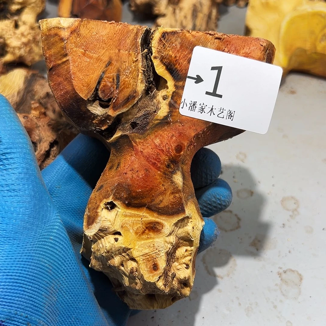 香榧木东**侠火琉璃……火琉璃