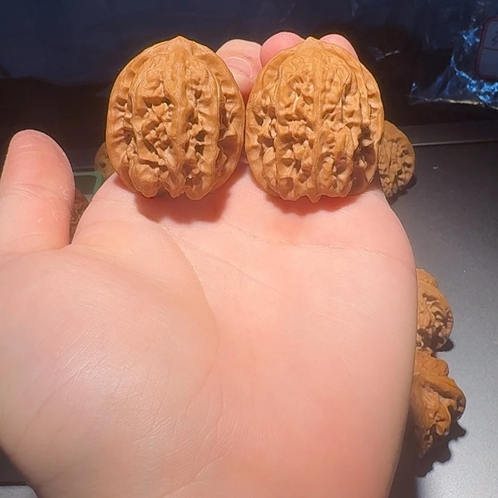 阳***忆磐石狮子头磐石狮子头