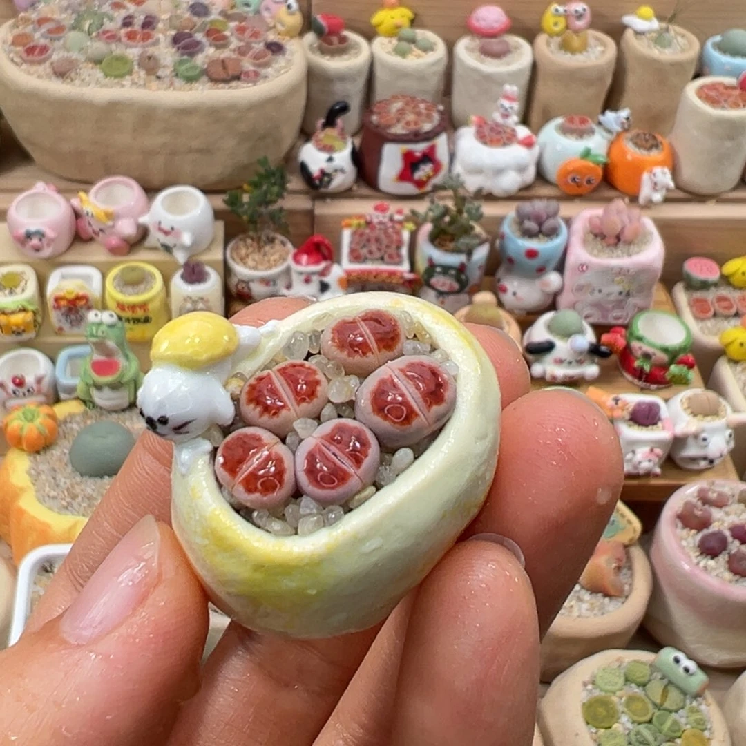 多肉植物94号红色