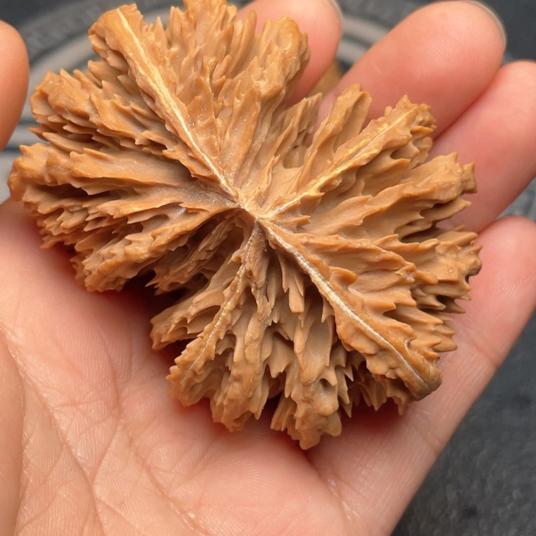 文玩核桃把件4*417号链接